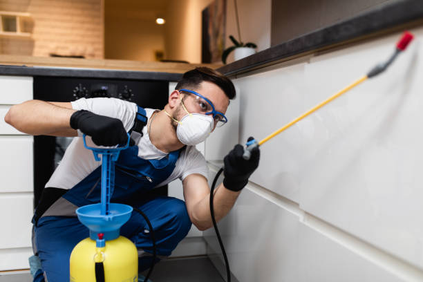 Best Pest Removal Services  in Cleveland, FL