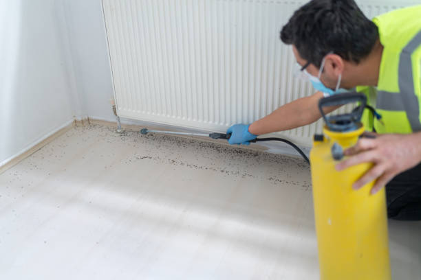Best Insect Control  in Cleveland, FL