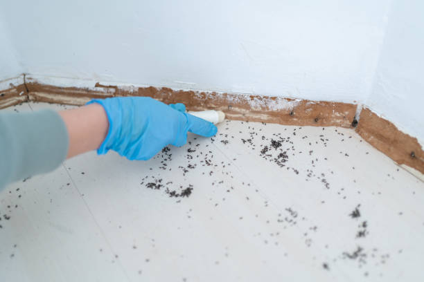 Best Pest Inspection Near Me  in Cleveland, FL
